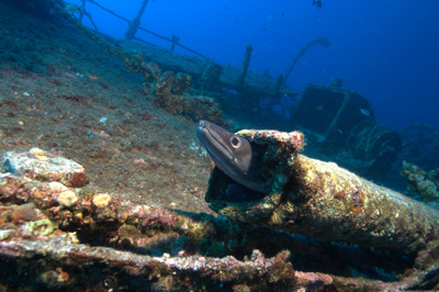 Roncsbúvár - Wreck Diver